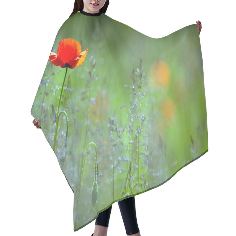 Personality  Beautiful Red Poppy In The Green Field. Hair Cutting Cape