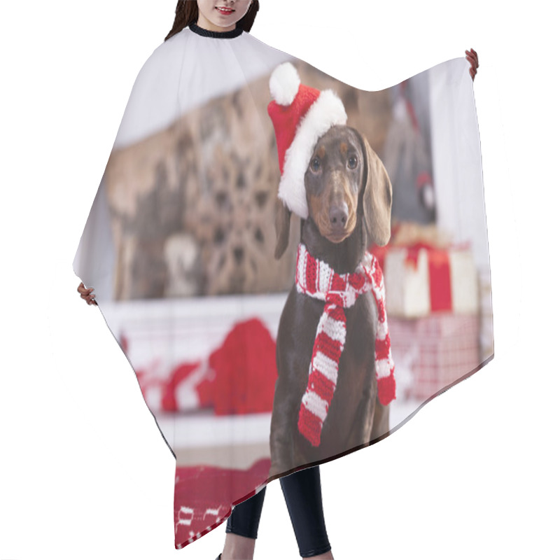 Personality  Christmas Wreath On Neck Dachshund Puppy Hair Cutting Cape