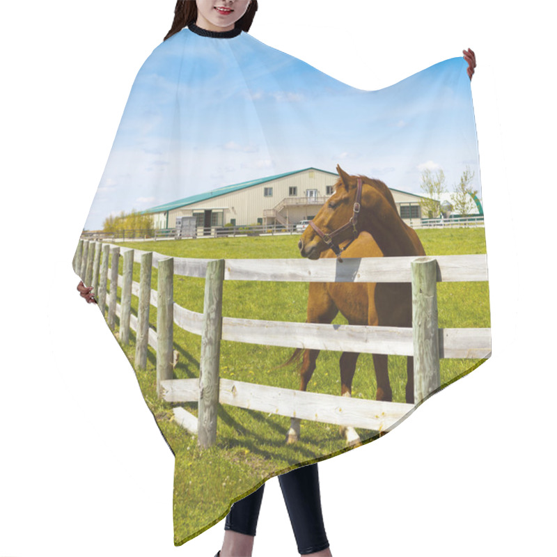 Personality  American Country Hair Cutting Cape