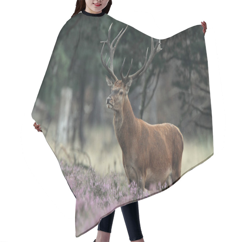 Personality  Red Deer Animal  Hair Cutting Cape