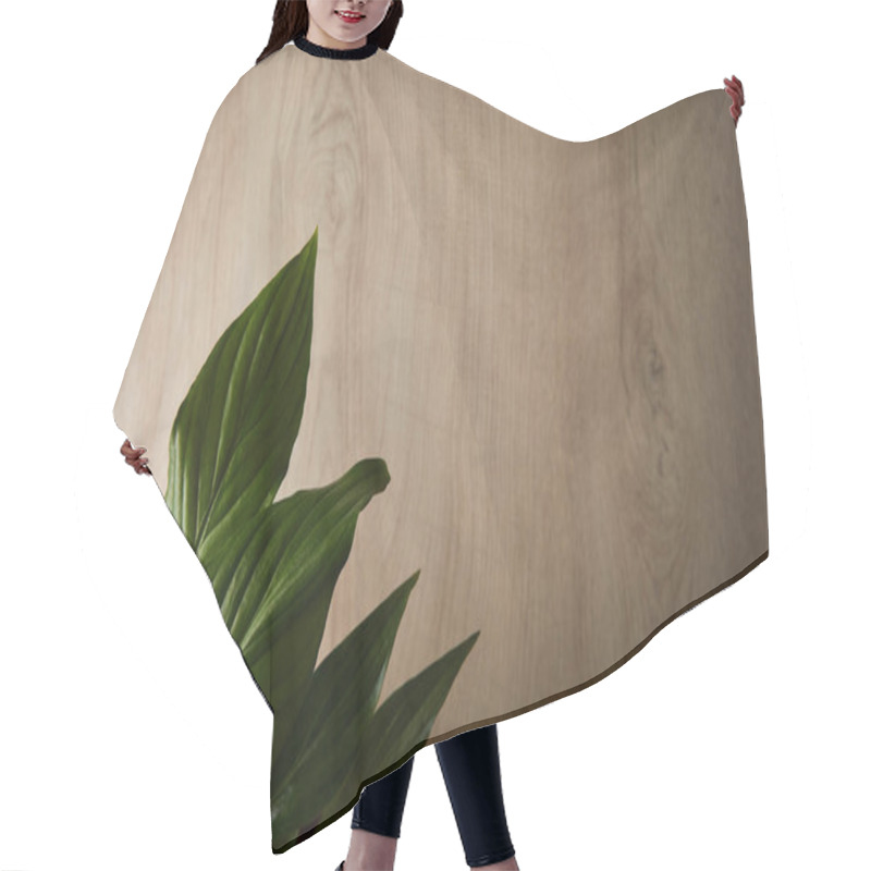 Personality  Top View Of Green Leaves On Wooden Beige Background Hair Cutting Cape