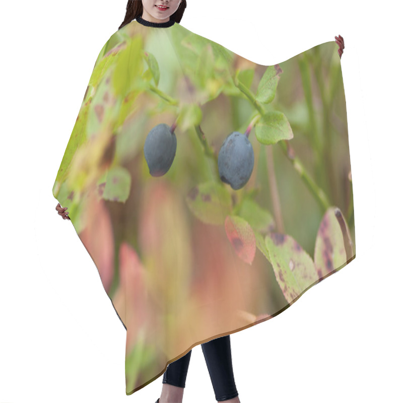 Personality  Blueberries In A Forest Hair Cutting Cape