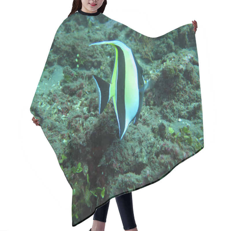 Personality  Thriving  Coral Reef Alive With Marine Life And  Tropical Fish Hair Cutting Cape