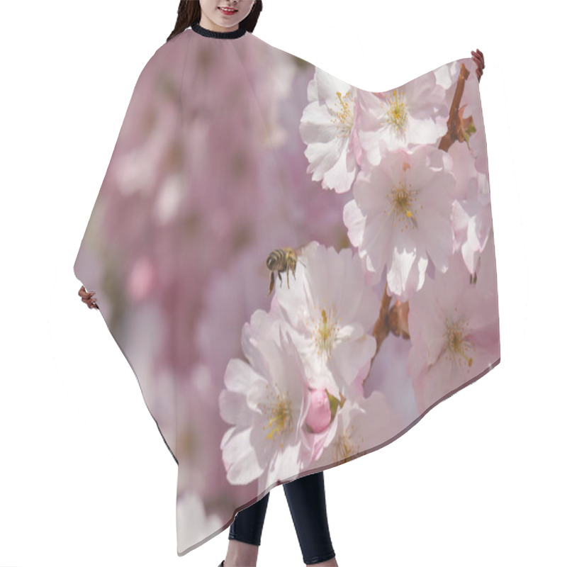 Personality  Cherry Blossoms, Spring Tree, Flowers On Branches Hair Cutting Cape