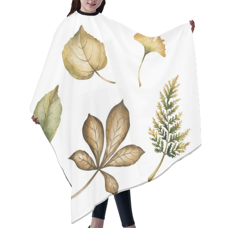 Personality  Leaves Of Chestnut, Birch, Fern And Ginko. Set Of Autumn Foliage. Watercolor Hand Drawn Floral Illustration Isolated On White Background For Fall Design, Botanical Cards, Cozy Prints, Floral Labels Hair Cutting Cape