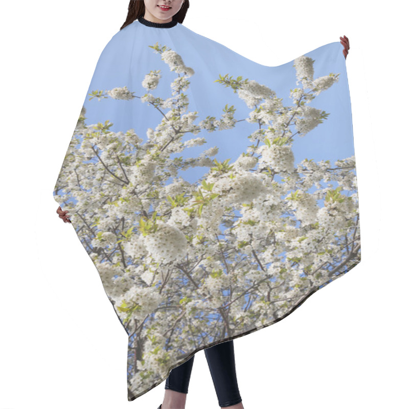 Personality  White Cherry Blossoms Hair Cutting Cape