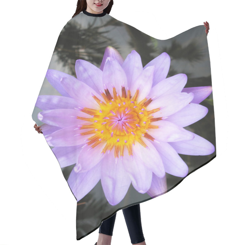 Personality  Lotus Flower Hair Cutting Cape