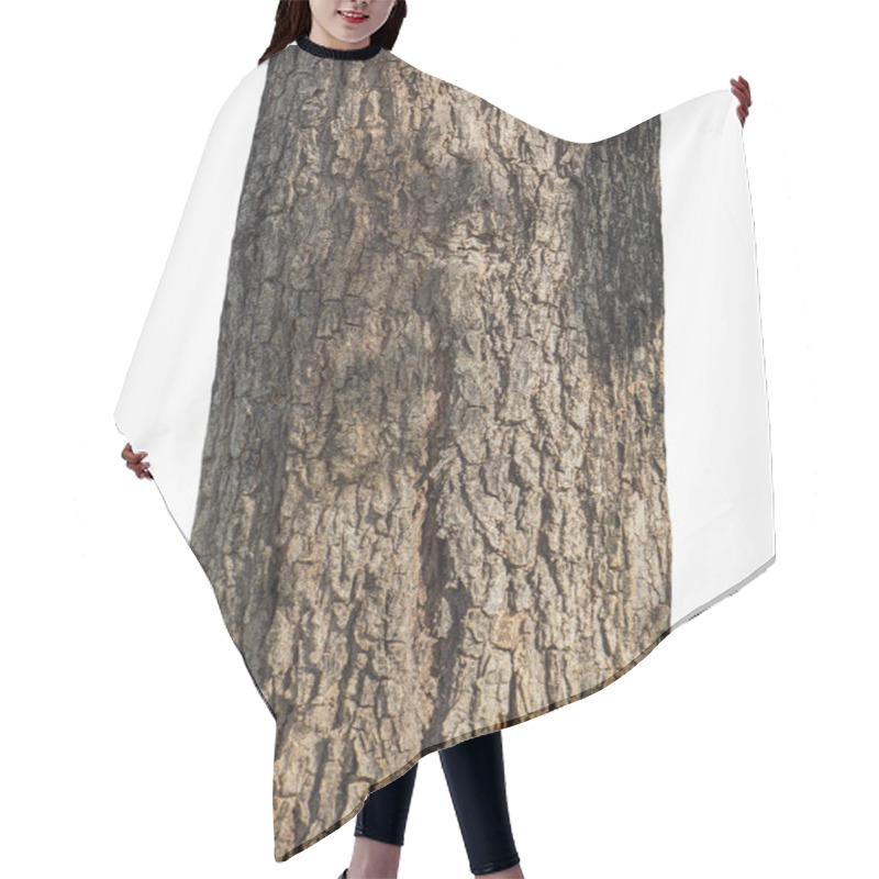 Personality  Trunk Of A Tree Isolated On White Background Hair Cutting Cape