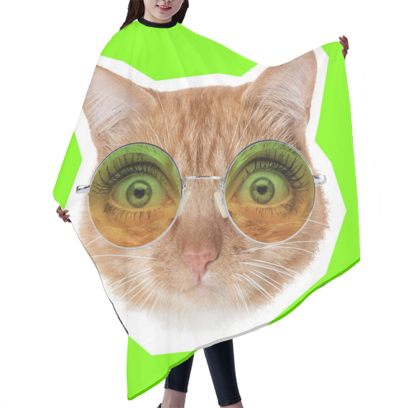 Personality  Contemporary Artwork Collage Concept. Portrait Of Cat With Human Eyes, Magazine Style Hair Cutting Cape