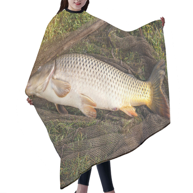 Personality  Captured Carp Caught In Pond.carp Fishing Rods.Carpfishing Sessi Hair Cutting Cape