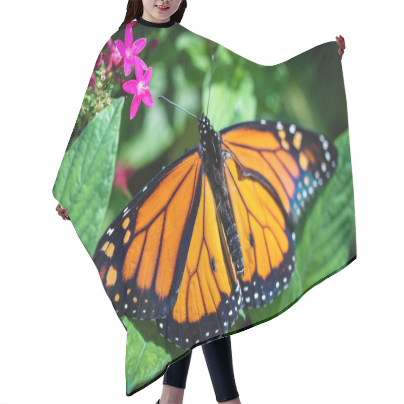 Personality  Monarch Danaus Plexippus Hair Cutting Cape