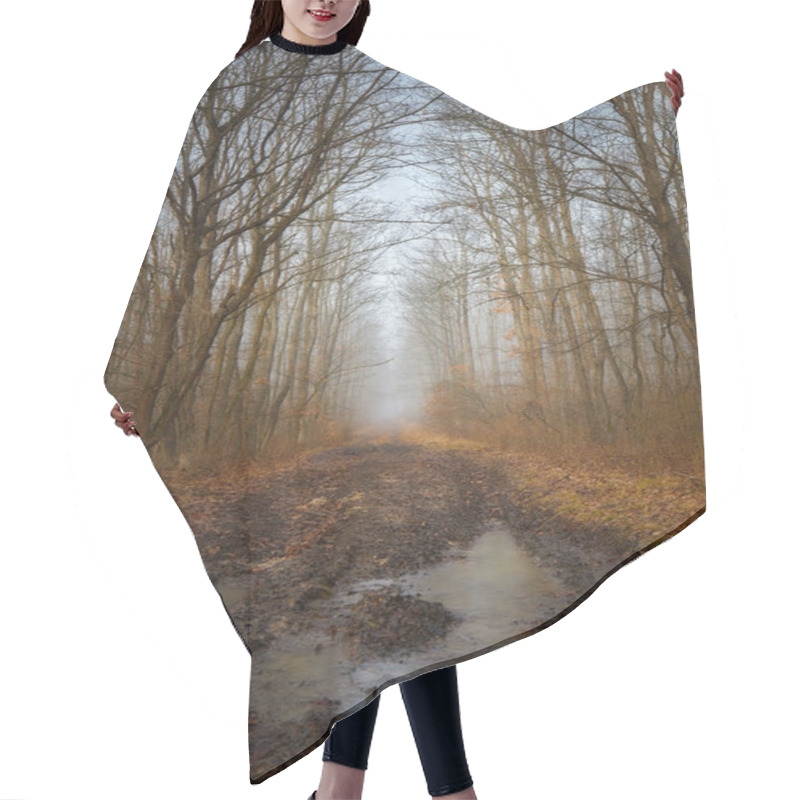 Personality  Road In A Oak Forest In Autumn Time In A Foggy Day Hair Cutting Cape