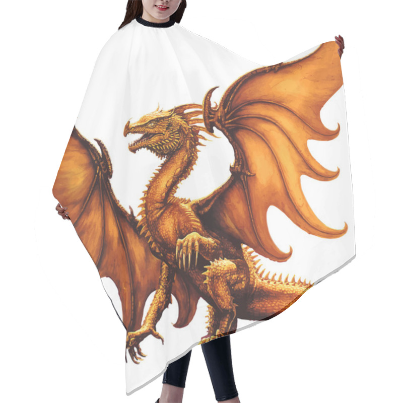 Personality  Flying Dragon.Vector Illustration Hair Cutting Cape