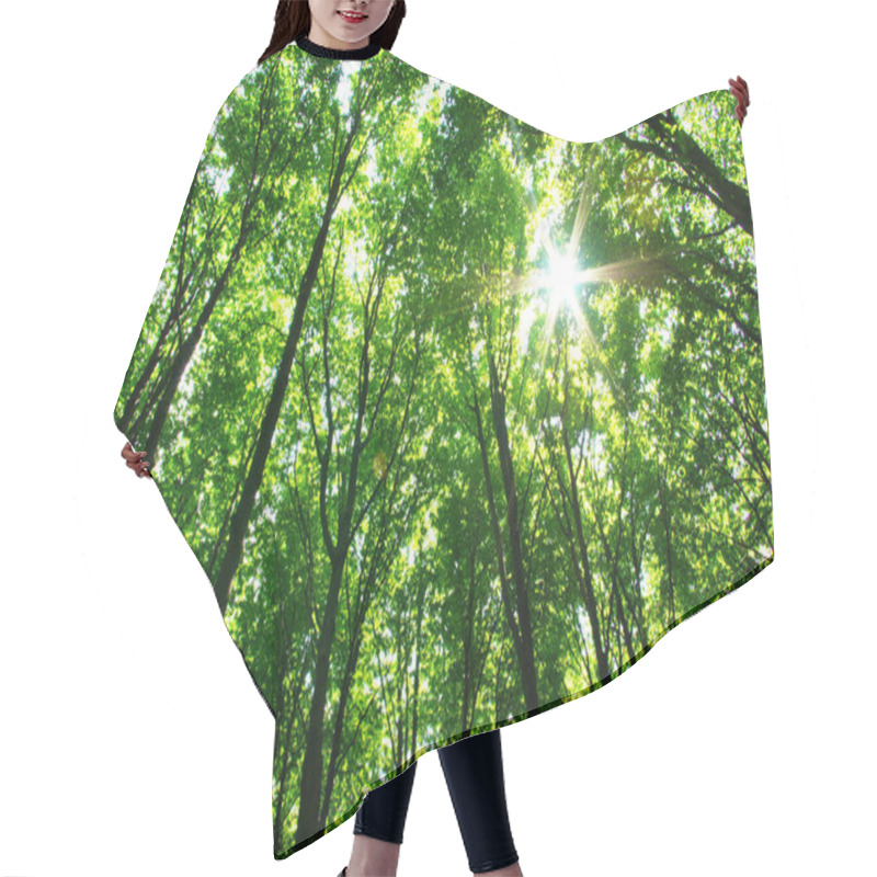 Personality  Spring Summer Flora, Green Leaves Hair Cutting Cape