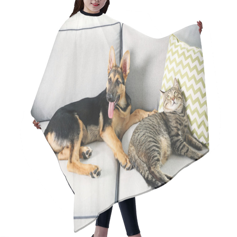 Personality  Cute Cat And Funny Dog  Hair Cutting Cape