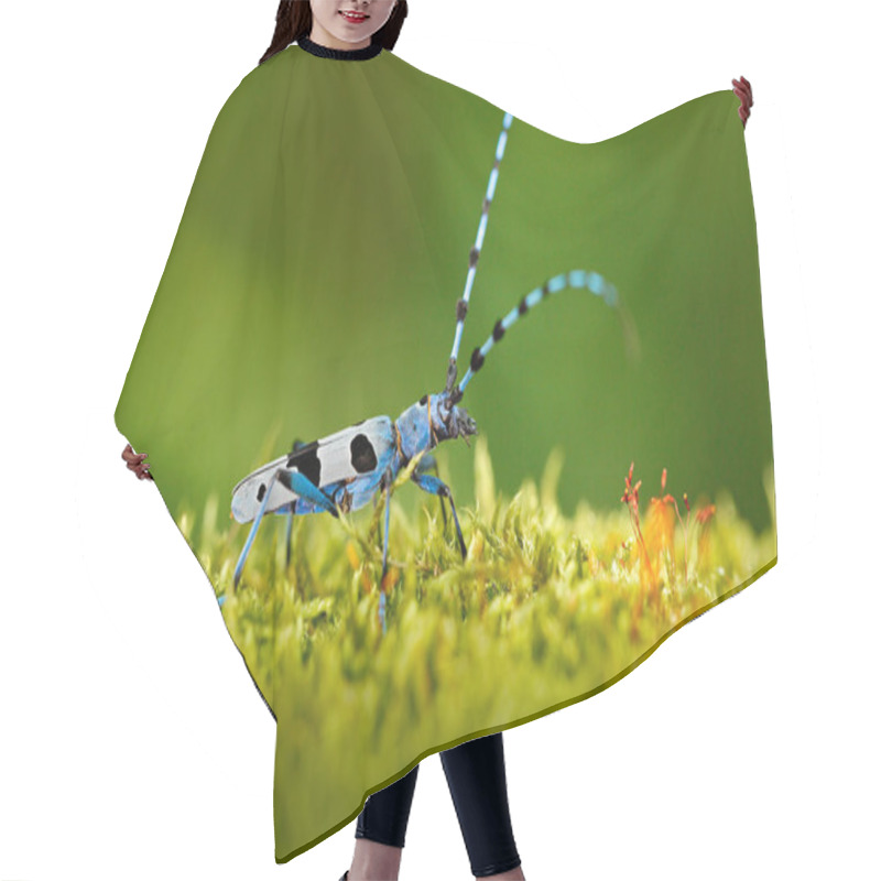 Personality  Blue Insect On Grass Hair Cutting Cape