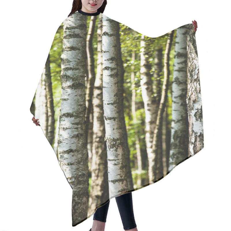 Personality  Beautiful Birch Trees In A Summer Forest Hair Cutting Cape