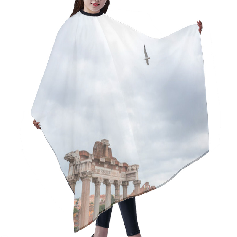 Personality  Roman Forum Hair Cutting Cape