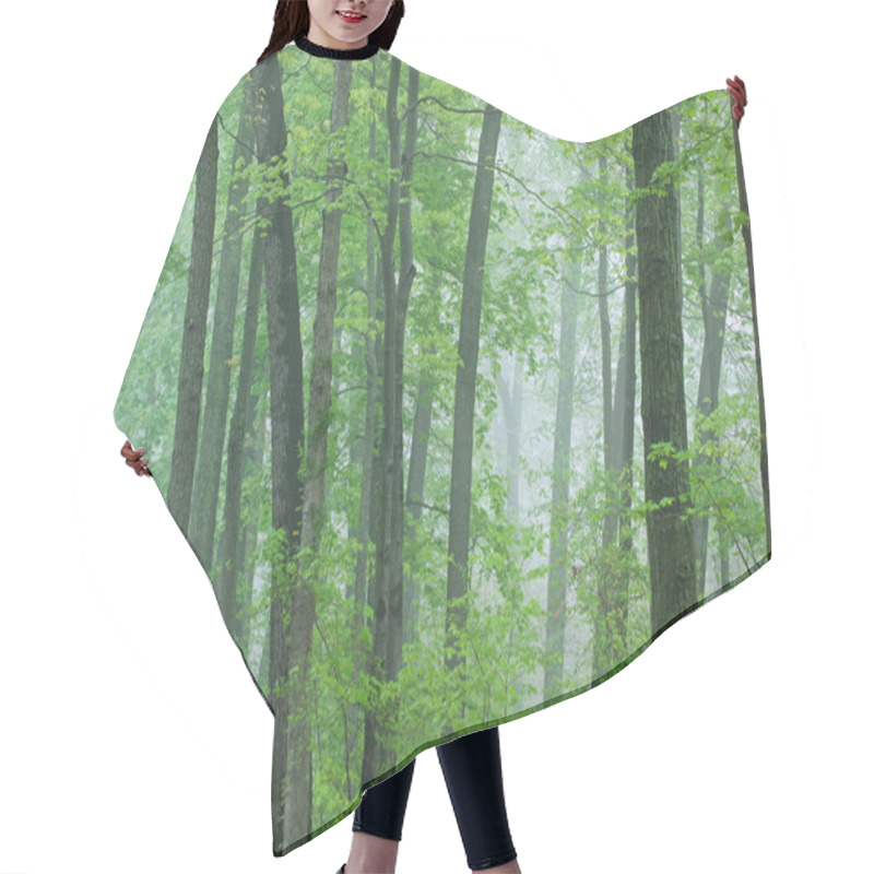 Personality  Spring Forest In Fog Hair Cutting Cape