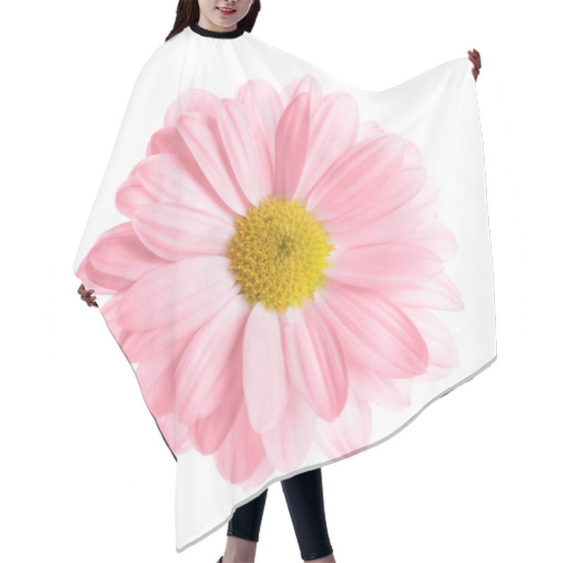 Personality  Beautiful Pink Chrysanthemum Flower On White Background, Top View Hair Cutting Cape