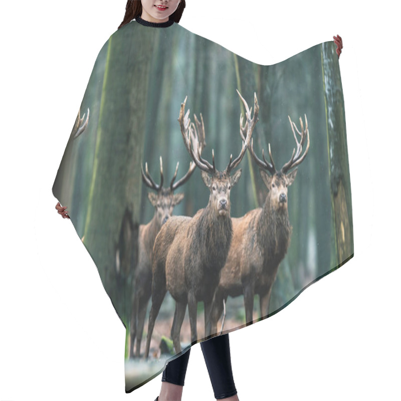 Personality  Three Deer Standing In Forest Hair Cutting Cape