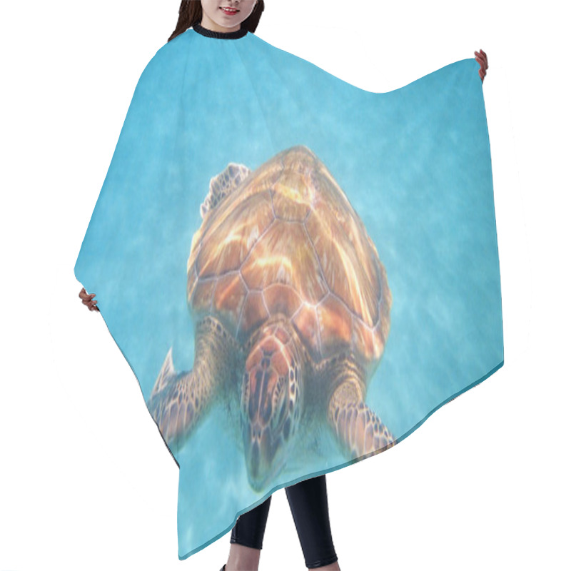 Personality  Tropical Turtle Animal, Reptile Hair Cutting Cape