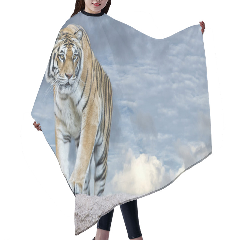 Personality  Siberian Tiger Ready To Attack Looking At You Hair Cutting Cape