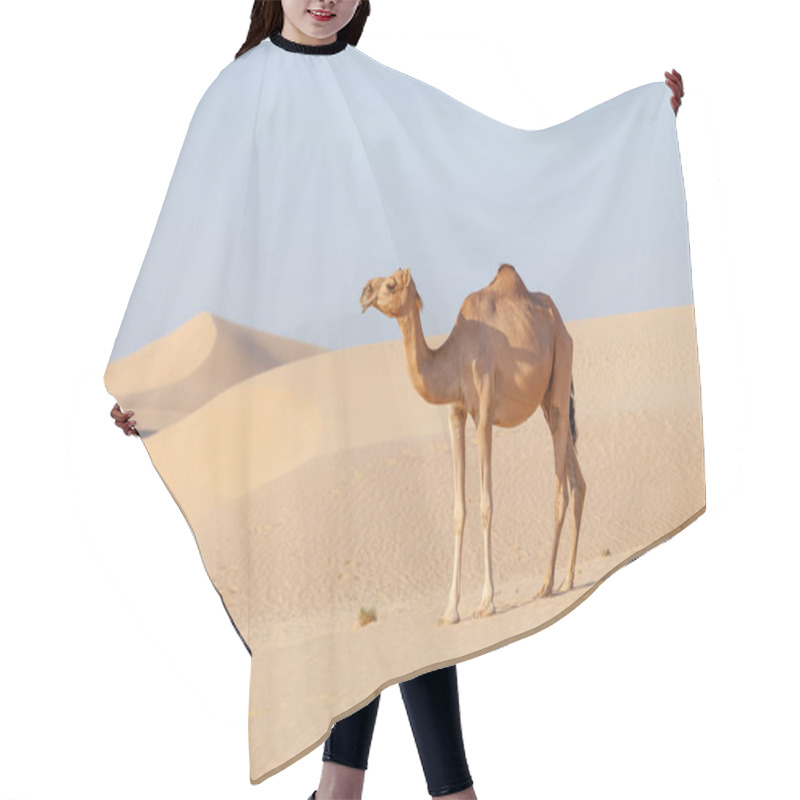 Personality  Middle Eastern Camel In A Desert In United Arab Emirates Hair Cutting Cape