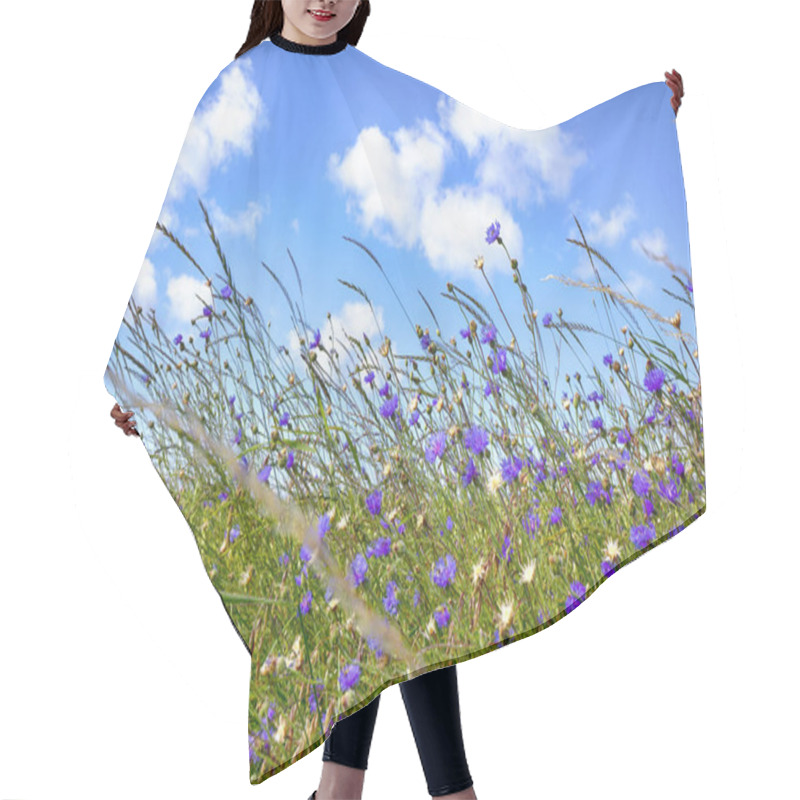 Personality  Wildflowers In Rural Environment In The Summer Hair Cutting Cape