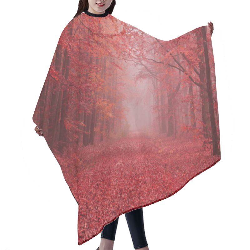 Personality  Beautiful Misty Morning In Autumn Forest Hair Cutting Cape