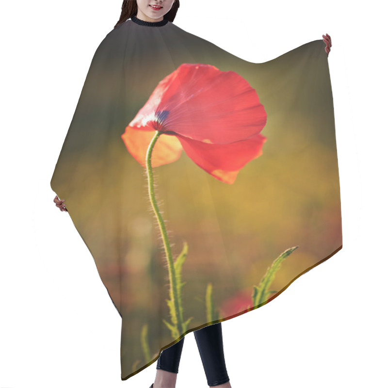 Personality  Poppy Field Landscape In English Countryside In Summer Hair Cutting Cape