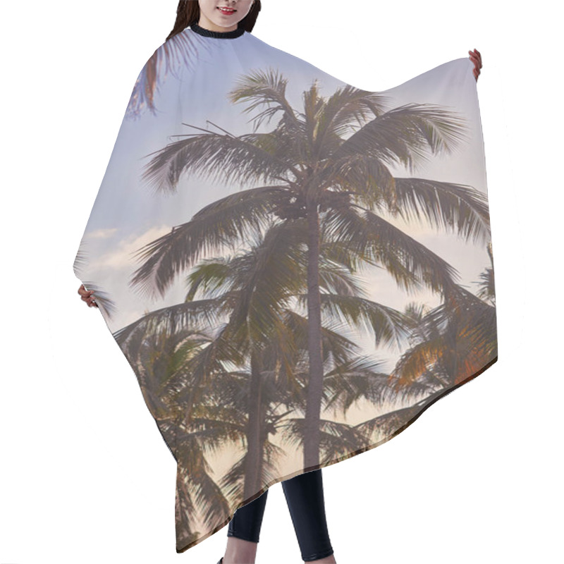 Personality  Tropical Palm Trees. Summertime Hair Cutting Cape