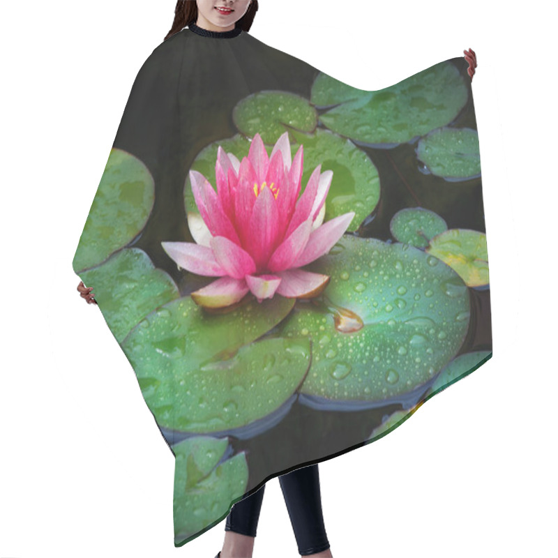 Personality  Pink Water Lily Garden  Hair Cutting Cape