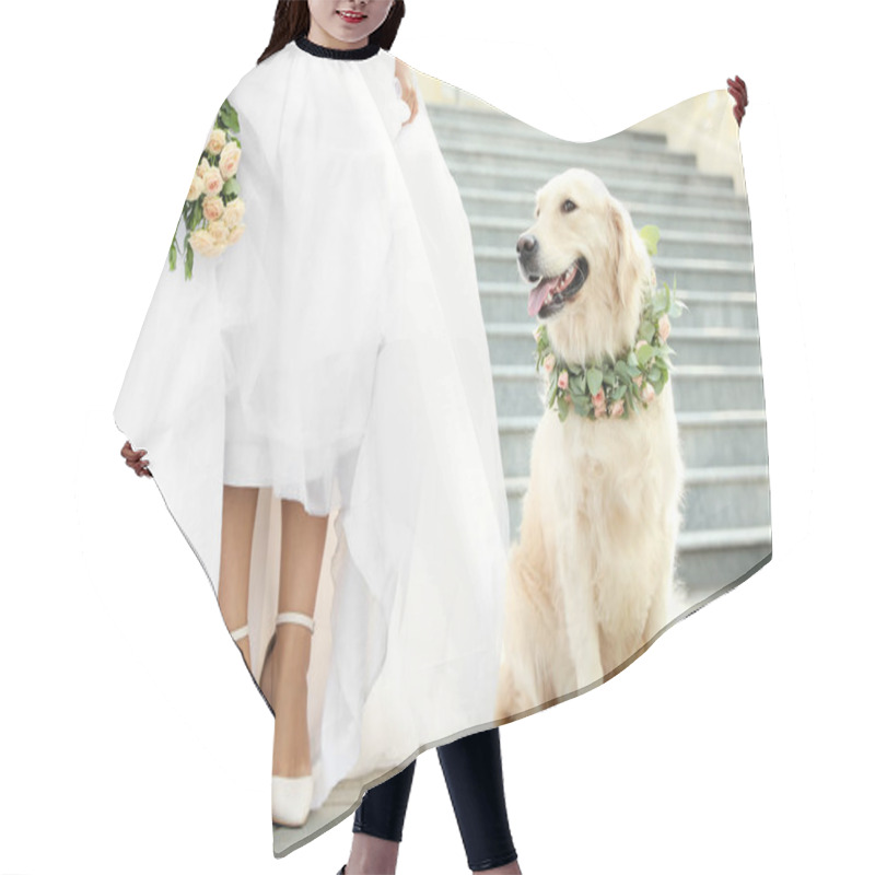 Personality  Bride And Adorable Golden Retriever Wearing Wreath Made Of Beautiful Flowers Outdoors, Closeup Hair Cutting Cape