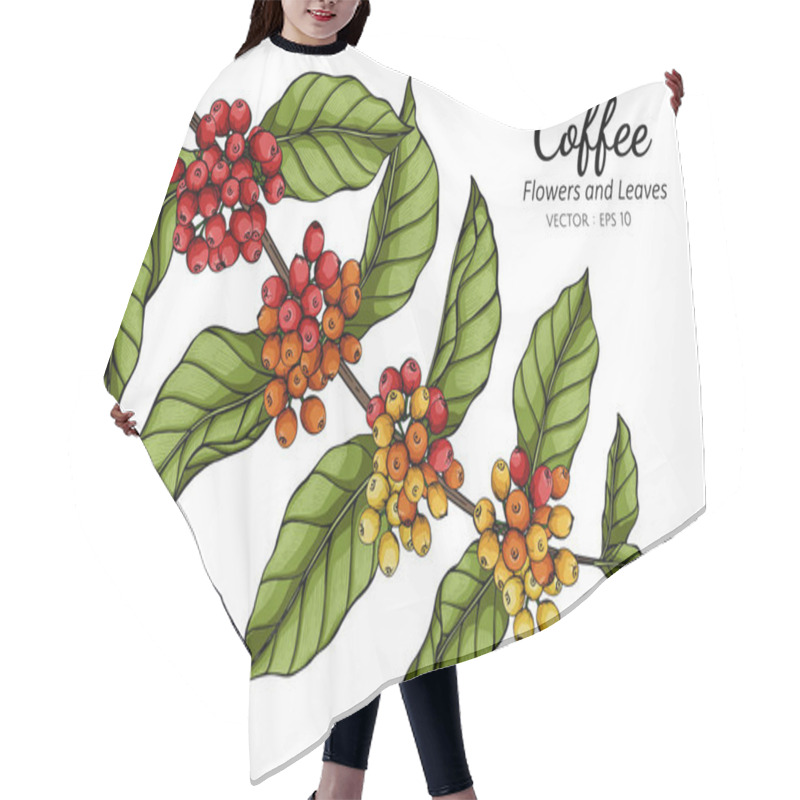 Personality  Coffee Flower And Leaf Drawing Illustration With Line Art On White Backgrounds. Hair Cutting Cape