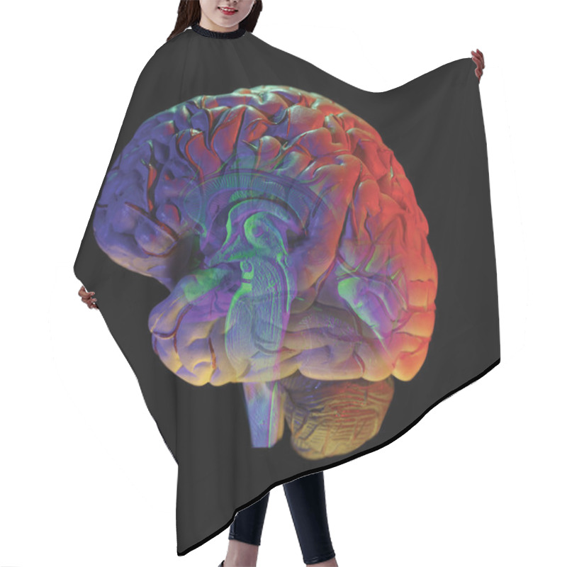 Personality  Brain On Black Hair Cutting Cape