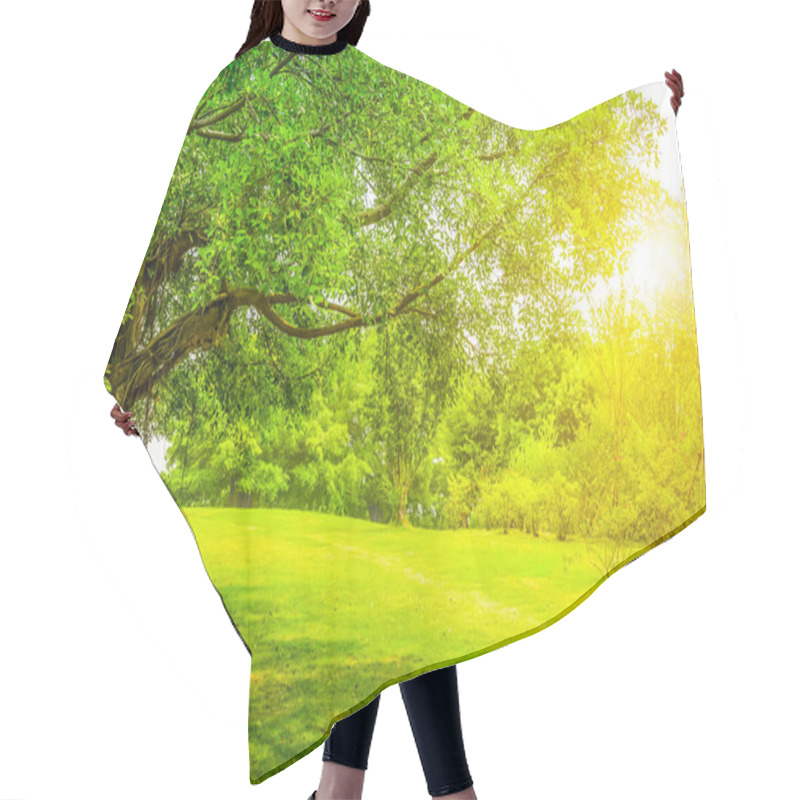 Personality  Green Trees In The Park Hair Cutting Cape