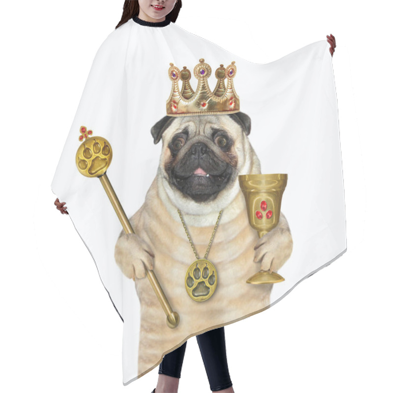 Personality  A Pug Dog In A Crown Is Holding A Gold Royal Scepter And A Goblet. White Background. Isolated. Hair Cutting Cape