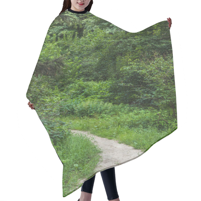 Personality  Scenic Shot Rural Pathway Of Green Forest Hair Cutting Cape