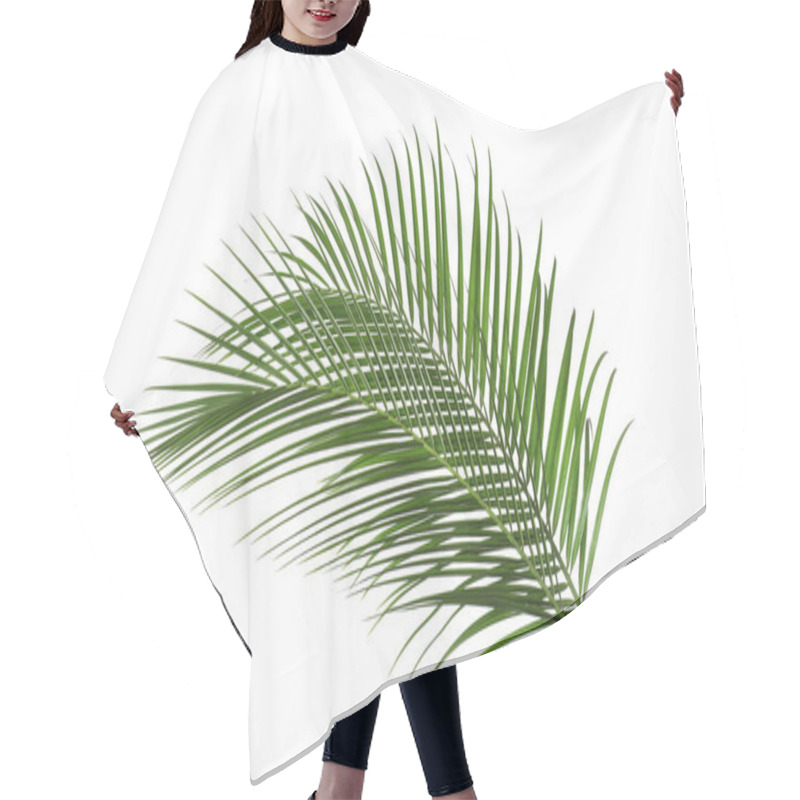 Personality  Beautiful Lush Tropical Leaves Isolated On White Hair Cutting Cape