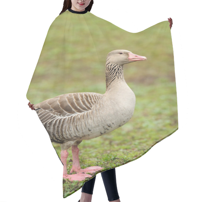 Personality  Grey Geese Hair Cutting Cape