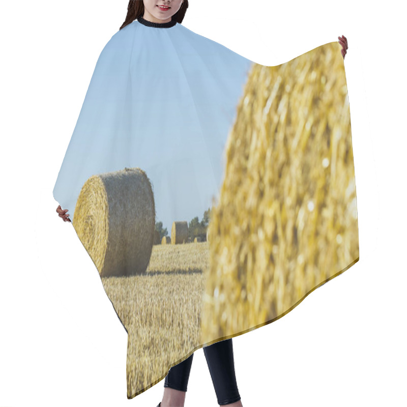 Personality  Yellow Wheat Field With Straw Bales After Harvesting On A Sunny Day In Normandy, France. Country Landscape, Agricultural Fields In Summer. Environment Friendly Farming, Industrial Agriculture Concept Hair Cutting Cape