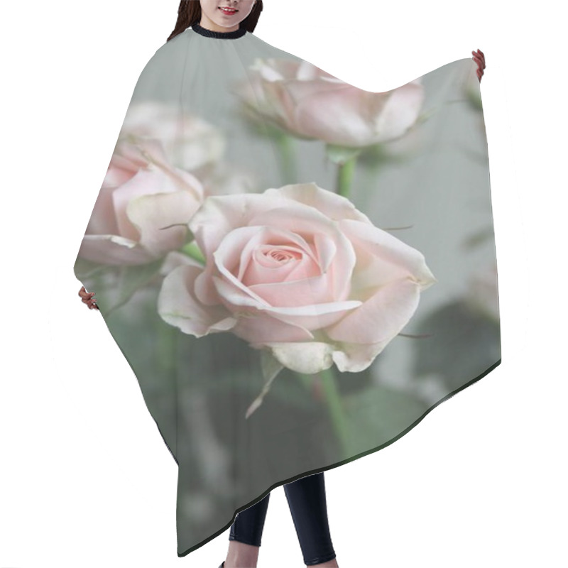 Personality  Close Up Of Rose Flowers Bouquet Indoor  Hair Cutting Cape