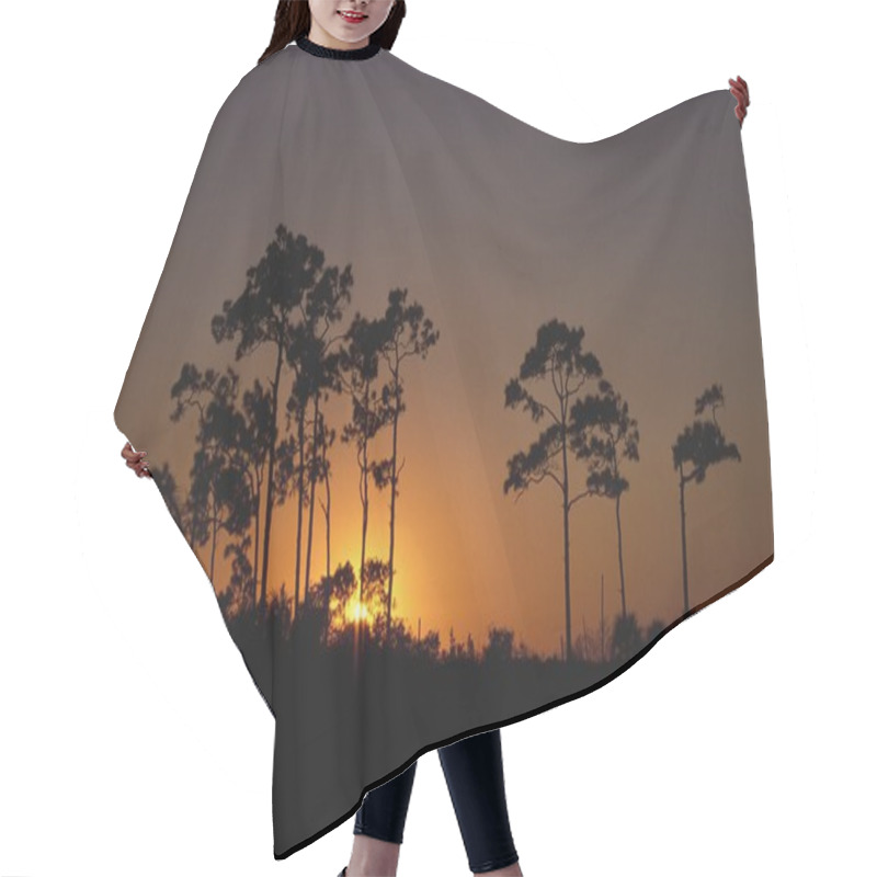 Personality  Sunrise Behind Slash Pine Trees (Pinus Elliottii) Hair Cutting Cape