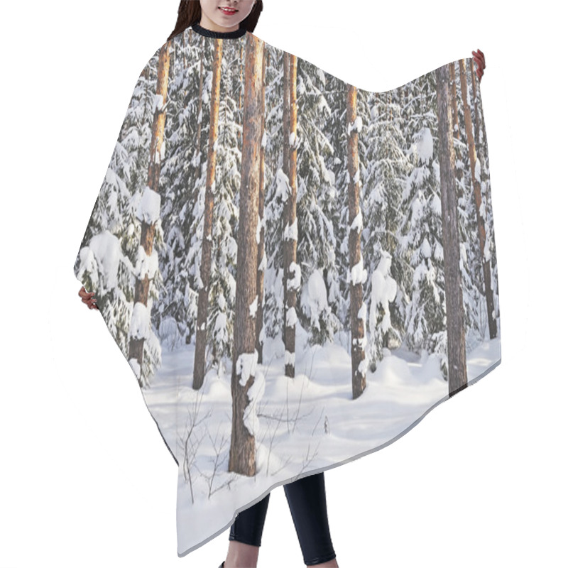 Personality  Tree Trunks Under Snow In Winter Forest Hair Cutting Cape