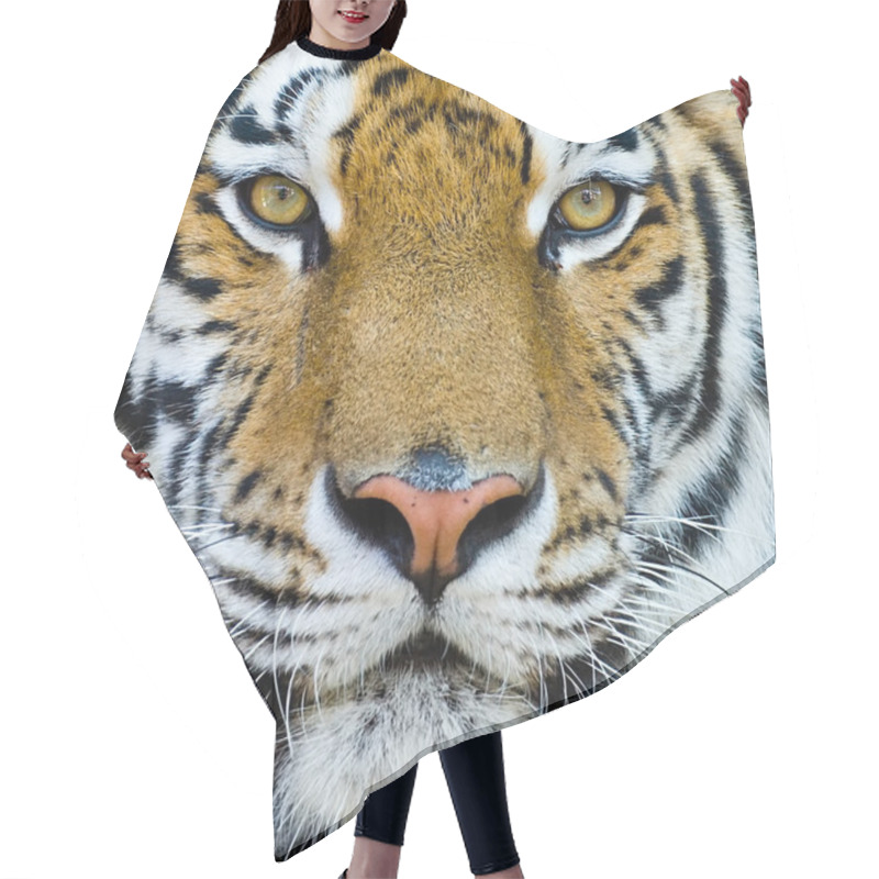 Personality  Tiger Isolated Hair Cutting Cape