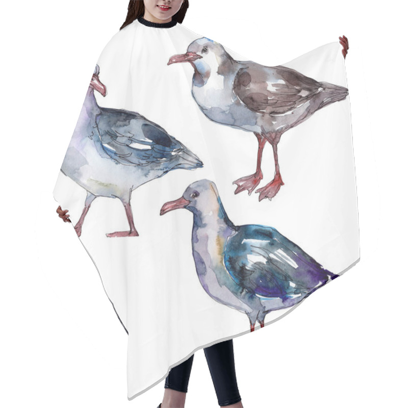 Personality  Sky Bird Seagull In A Wildlife. Wild Freedom, Bird With A Flying Wings. Watercolor Background Illustration Set. Watercolour Drawing Fashion Aquarelle. Isolated Gull Illustration Element. Hair Cutting Cape