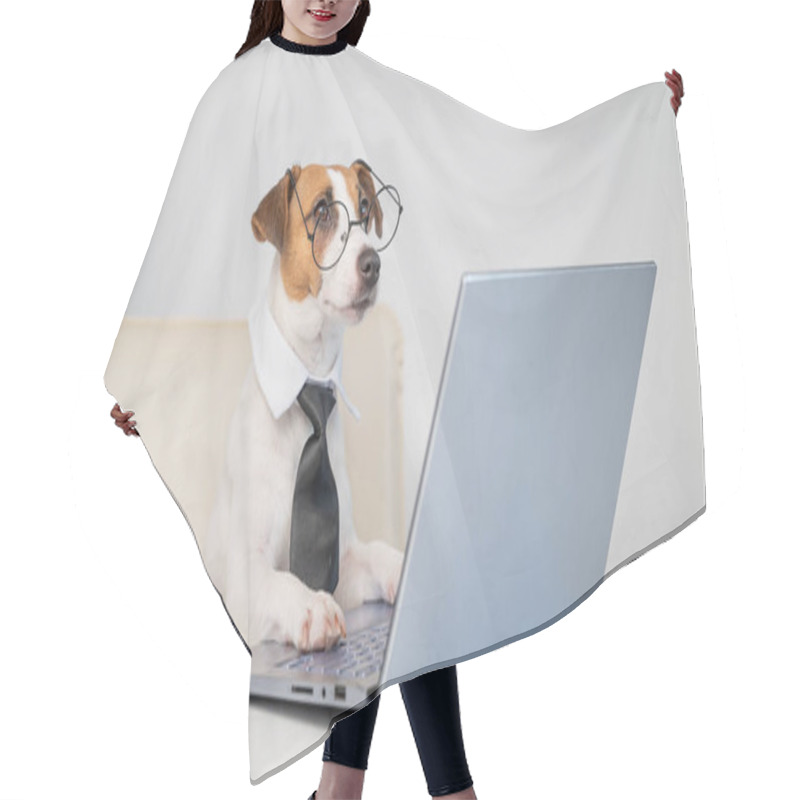 Personality  Dog Jack Russell Terrier In Glasses And A Tie Sits At A Desk And Works At A Computer On A White Background. Humorous Depiction Of A Boss Pet. Hair Cutting Cape