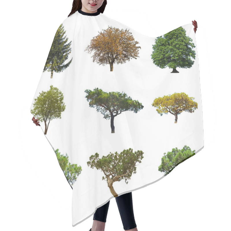 Personality  Summer Trees Hair Cutting Cape