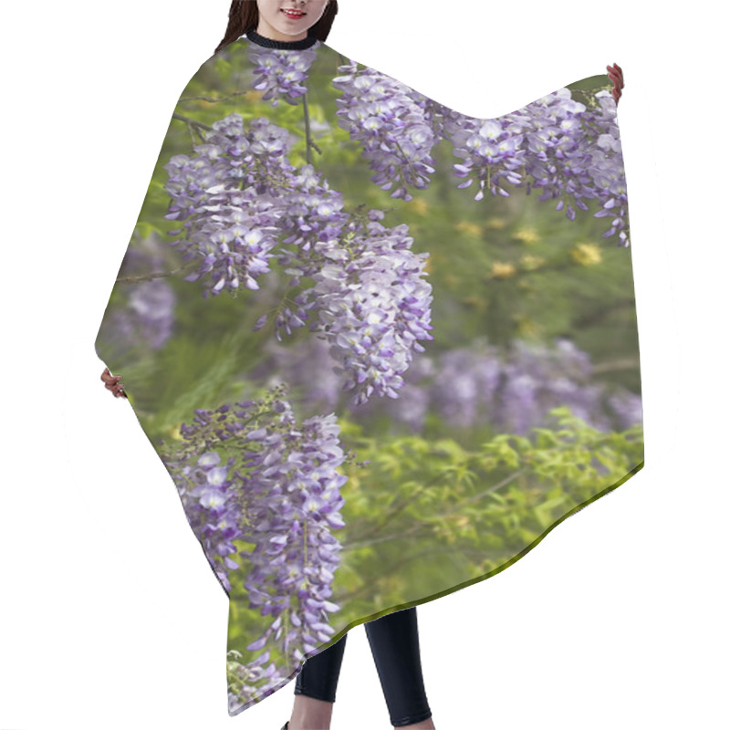 Personality  Alabama Wild Wisteria Blossoms Hair Cutting Cape